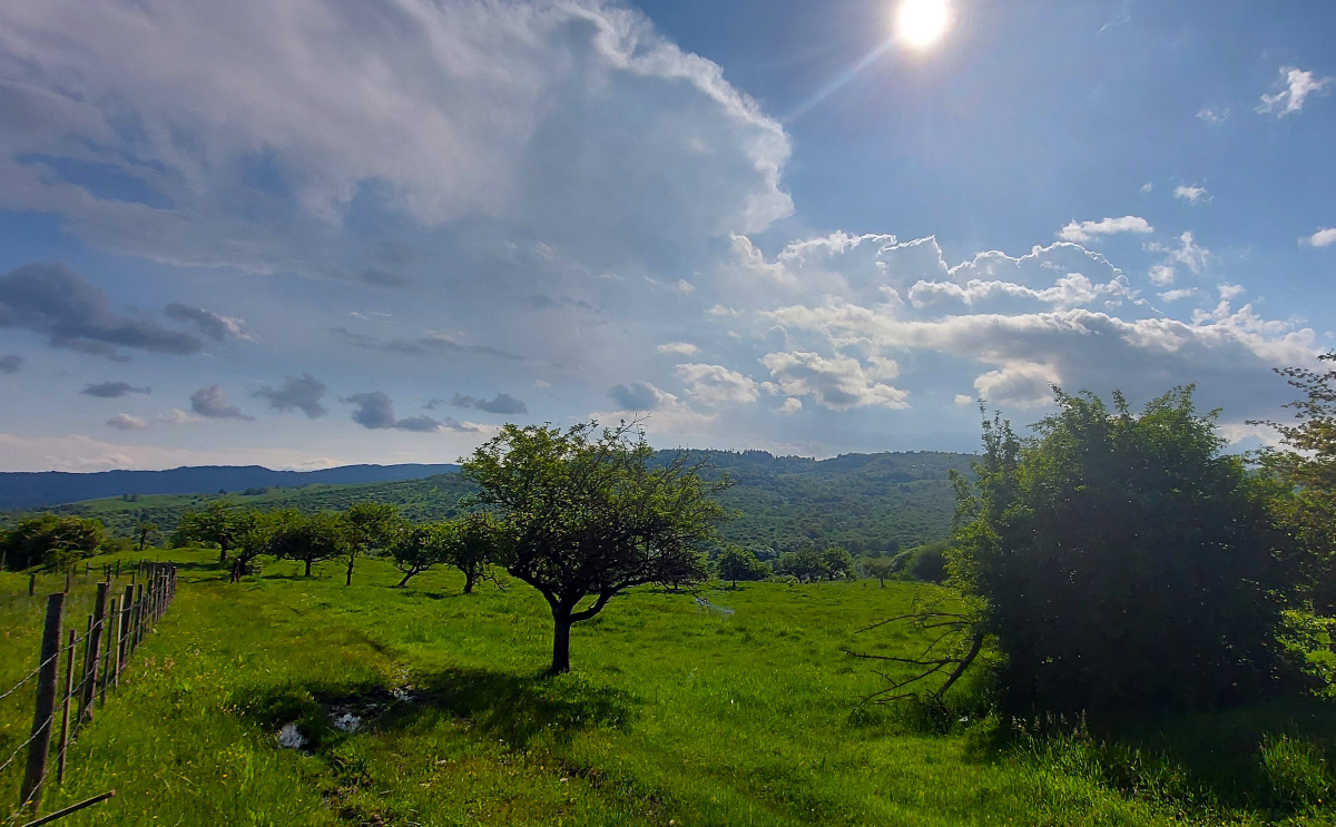 Landscape in Transylvania